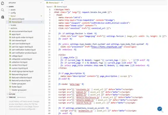 Interface développeur pour la modification et l'optimisation SEO du code du thème utilisé sur Shopify